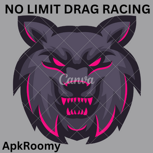 No Limit Drag Racing