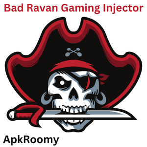 Bad Ravan Gaming Injector
